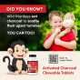 Kids Chewable Activated Charcoal Tablets - for Upset Tummies, Diarrhea & More