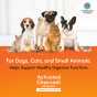 Activated Charcoal Capsules for Animals - Digestive Aid for Pets