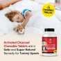 Kids Chewable Activated Charcoal Tablets - for Upset Tummies, Diarrhea & More