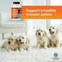 Activated Charcoal Capsules for Animals - Digestive Aid for Pets