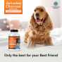 Activated Charcoal Capsules for Animals - Digestive Aid for Pets