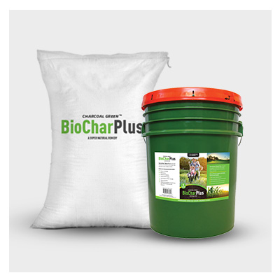 BioChar