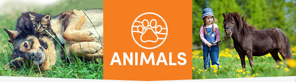 Activated Charcoal for Animals