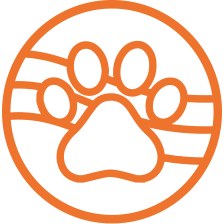 pet