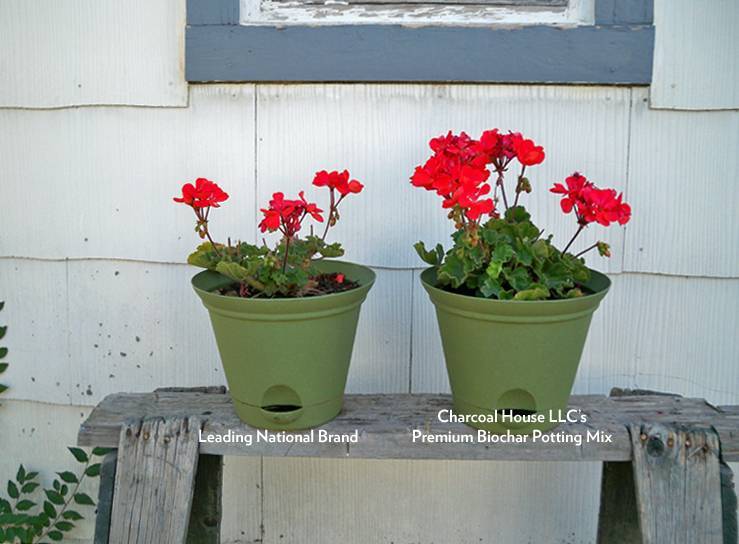 Charcoal Green Biochar potting mix compared to leading national brand